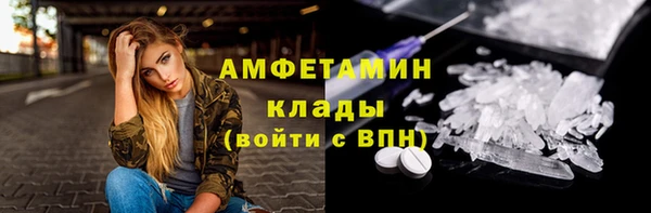 прущие грибы Балахна