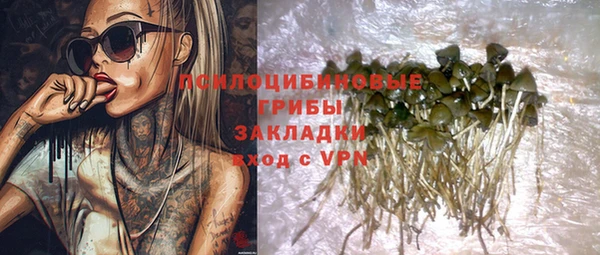 прущие грибы Балахна